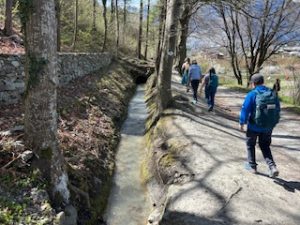 IMG_1530