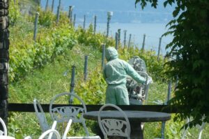 25-05-lavaux 20