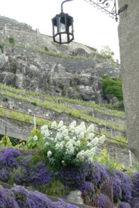 25-05-lavaux 29
