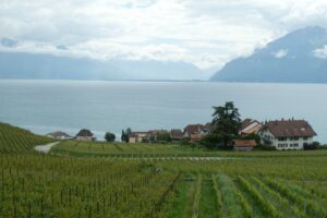 25-05-lavaux 34