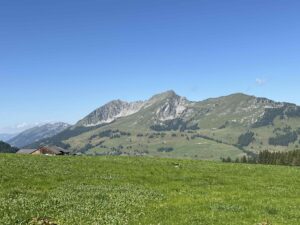 IMG_1960