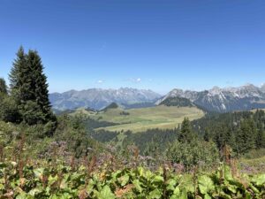 IMG_1971