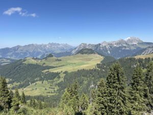 IMG_1972