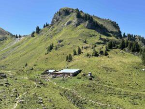 IMG_1973