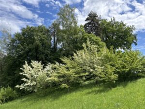 Photo13