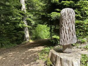 Photo17