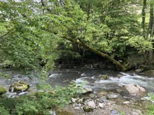 Photo18
