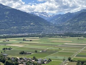 IMG_3382
