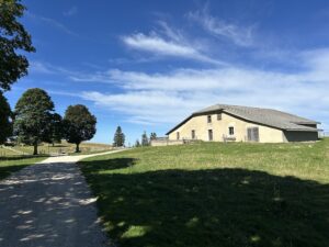 IMG_3834