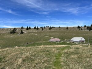 IMG_3837