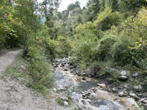IMG_4011