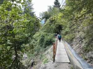 IMG_4013