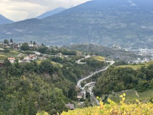 IMG_4020
